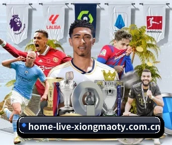 home-live-xiongmaoty.com.cn APP